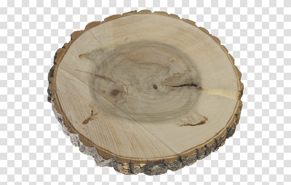 Slice Poplar Base With Banner Free Wood, Tabletop, Furniture, Helmet, Bowl Transparent Png