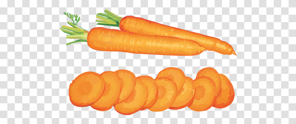 Sliced Carrot, Plant, Vegetable, Food Transparent Png