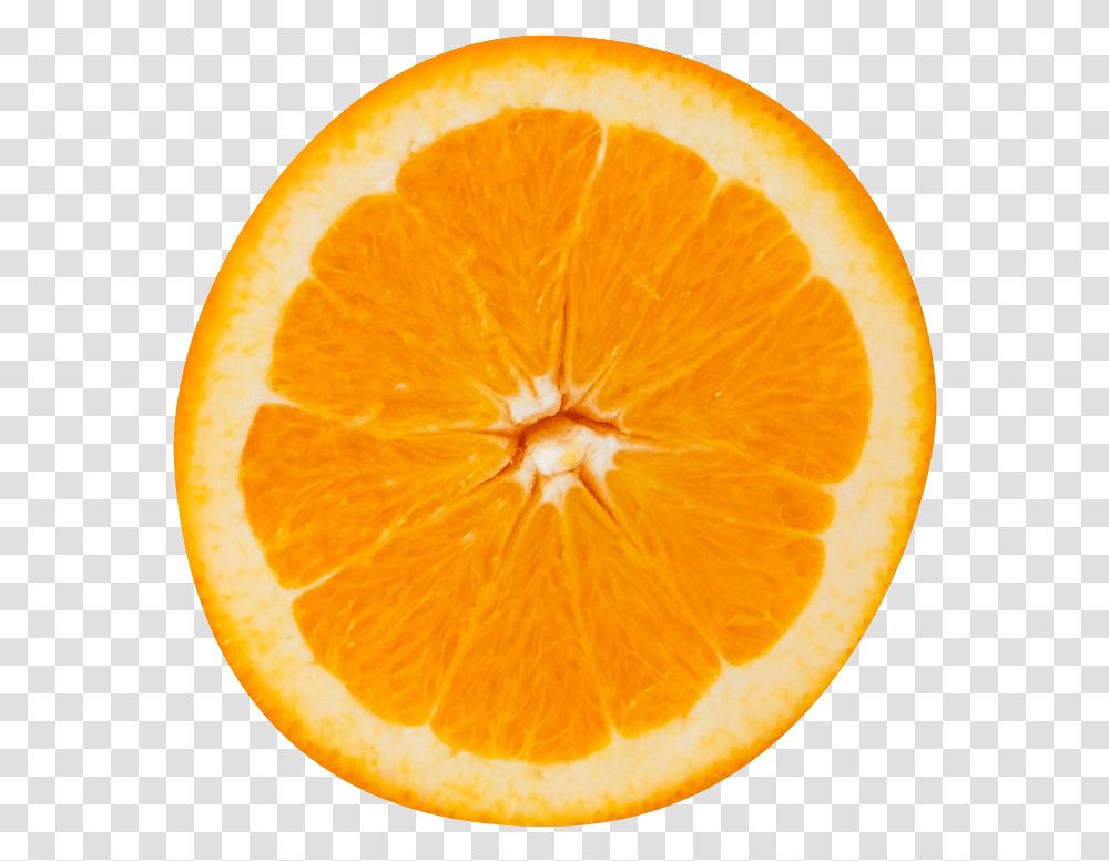 Sliced Citrus Oranges Juice Vesicles, Citrus Fruit, Plant, Food, Grapefruit Transparent Png