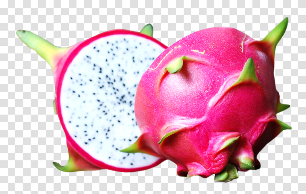 Sliced Dragon Fruit Image, Plant, Food, Sweets, Icing Transparent Png