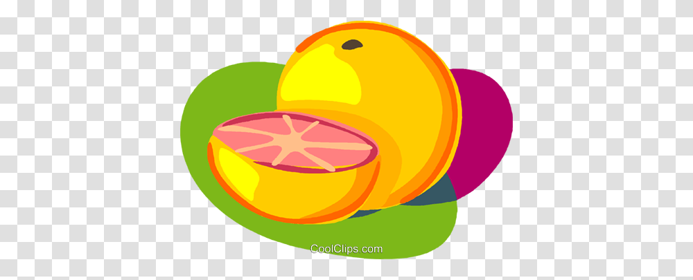 Sliced Grapefruit Royalty Free Vector Clip Art Illustration, Plant, Citrus Fruit, Food, Produce Transparent Png