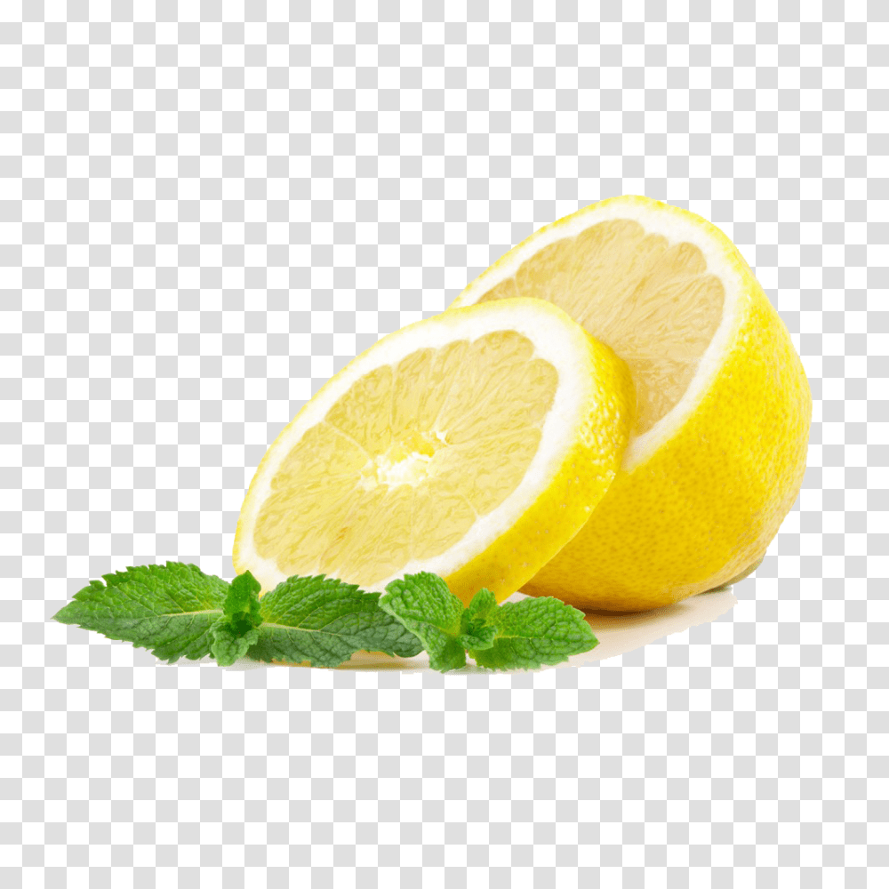 Sliced Lemon Lemon Slice Background, Plant, Potted Plant, Vase, Jar Transparent Png