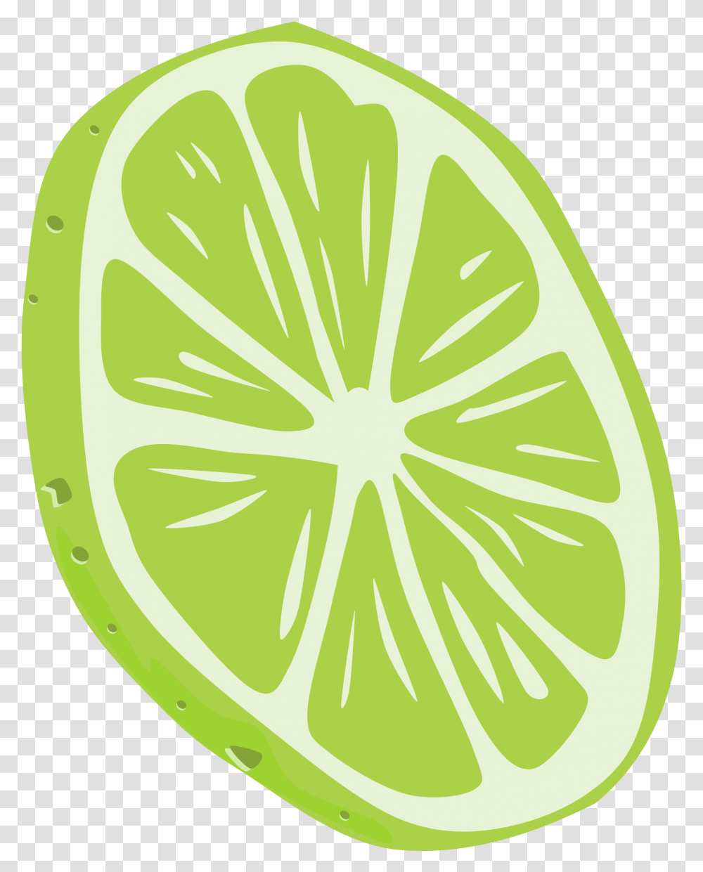 Sliced Lime Background Clipart Lime, Citrus Fruit, Plant, Food, Lemon Transparent Png