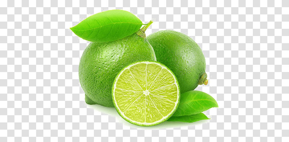 Sliced Lime Background Image Background Lime, Citrus Fruit, Plant, Food, Tennis Ball Transparent Png