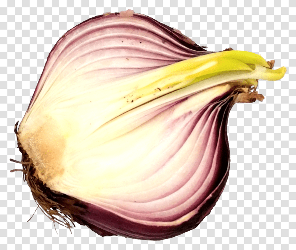 Sliced Onion 6 Red Onion, Plant, Vegetable, Food, Banana Transparent Png