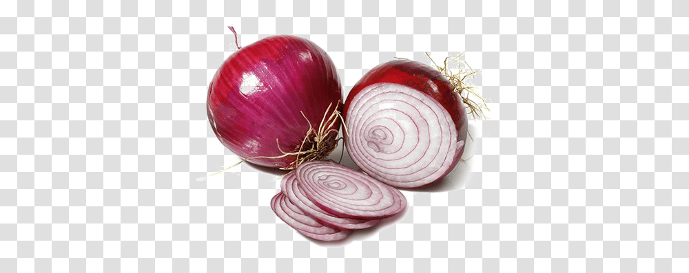 Sliced Onion Background Clipart Onion Slice, Plant, Shallot, Vegetable, Food Transparent Png