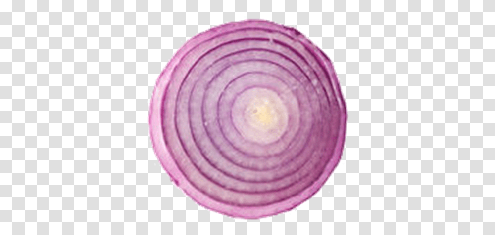 Sliced Onion Background Sliced Onion Background, Plant, Food, Vegetable, Fungus Transparent Png