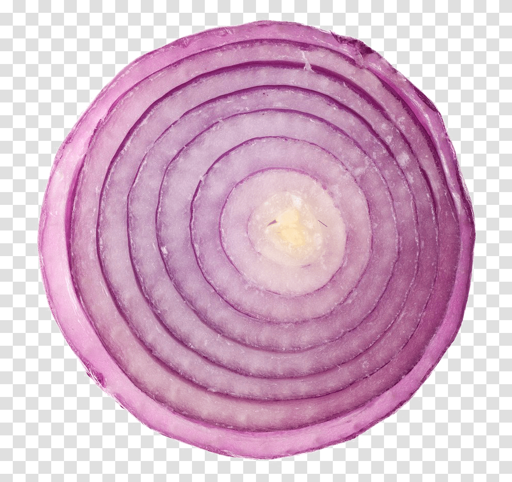 Sliced Onion Image, Plant, Food, Vegetable, Fungus Transparent Png