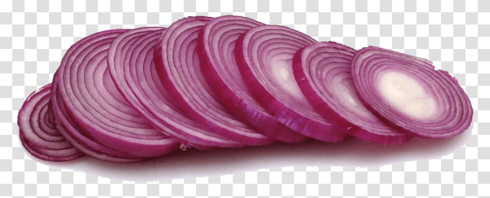 Sliced Onion Image Poison Onion, Plant, Food, Vegetable, Shallot Transparent Png