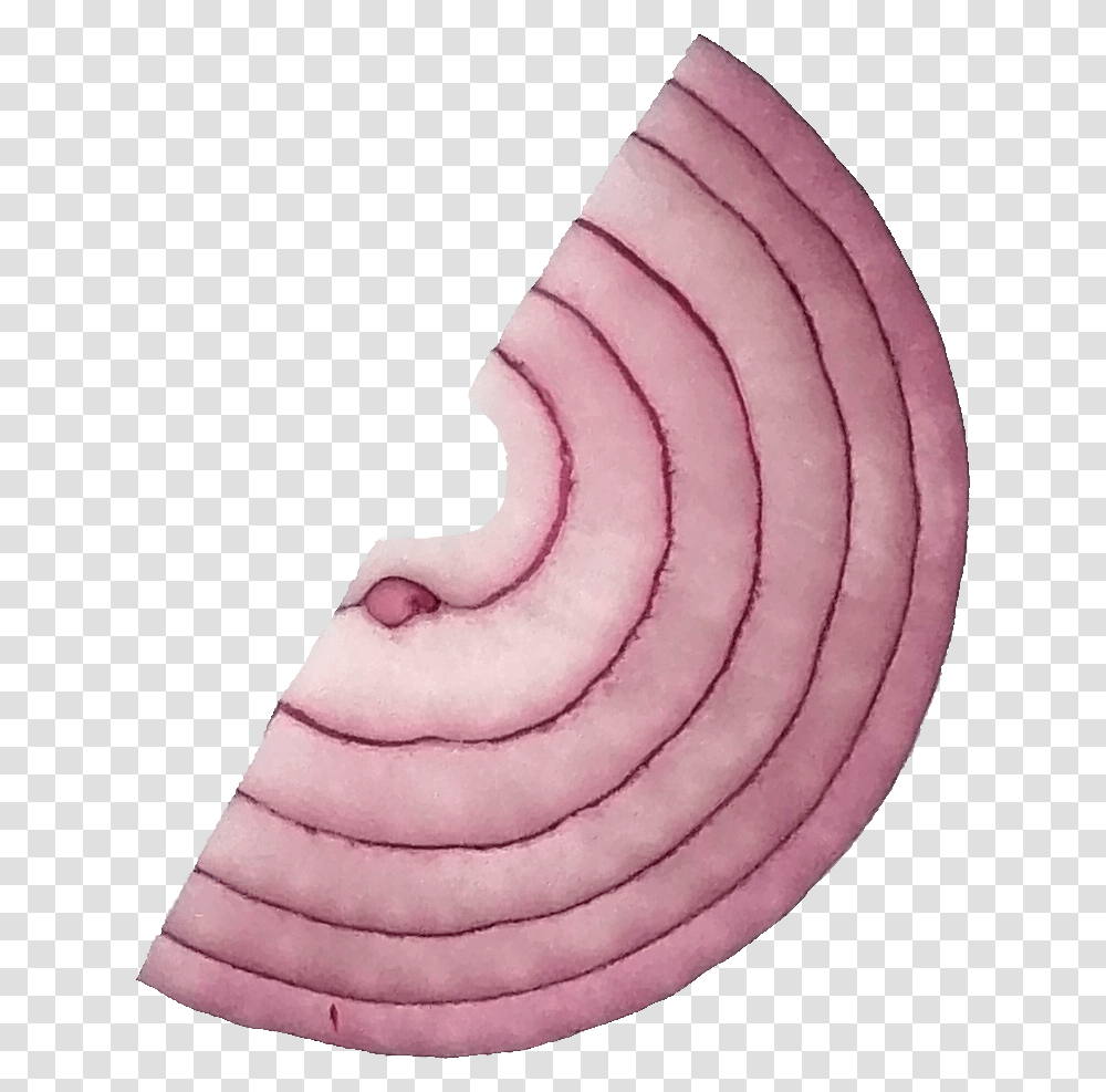 Sliced Onion Onlygfxcom Red Onion, Plant, Vegetable, Food, Shallot Transparent Png