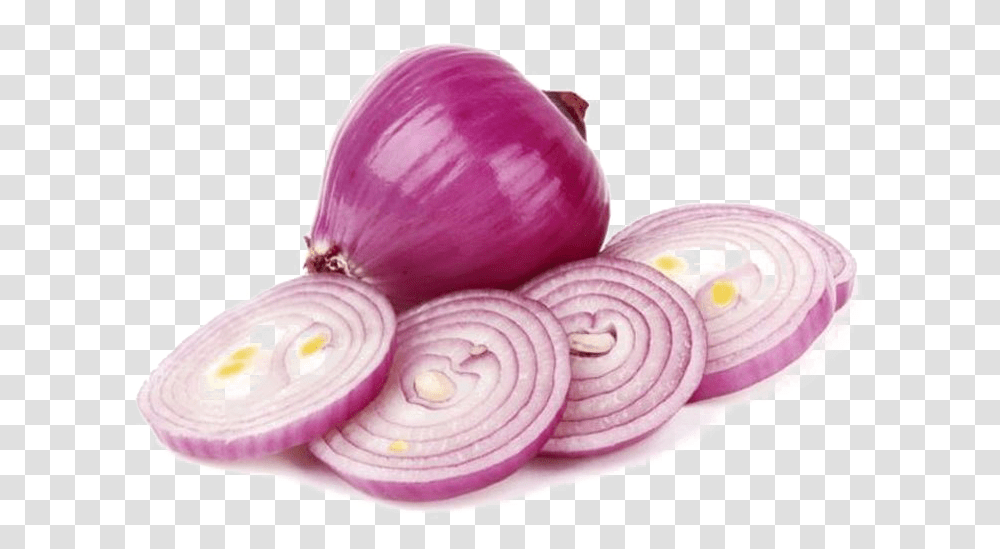 Sliced Onion Photo Onion, Plant, Food, Vegetable, Shallot Transparent Png