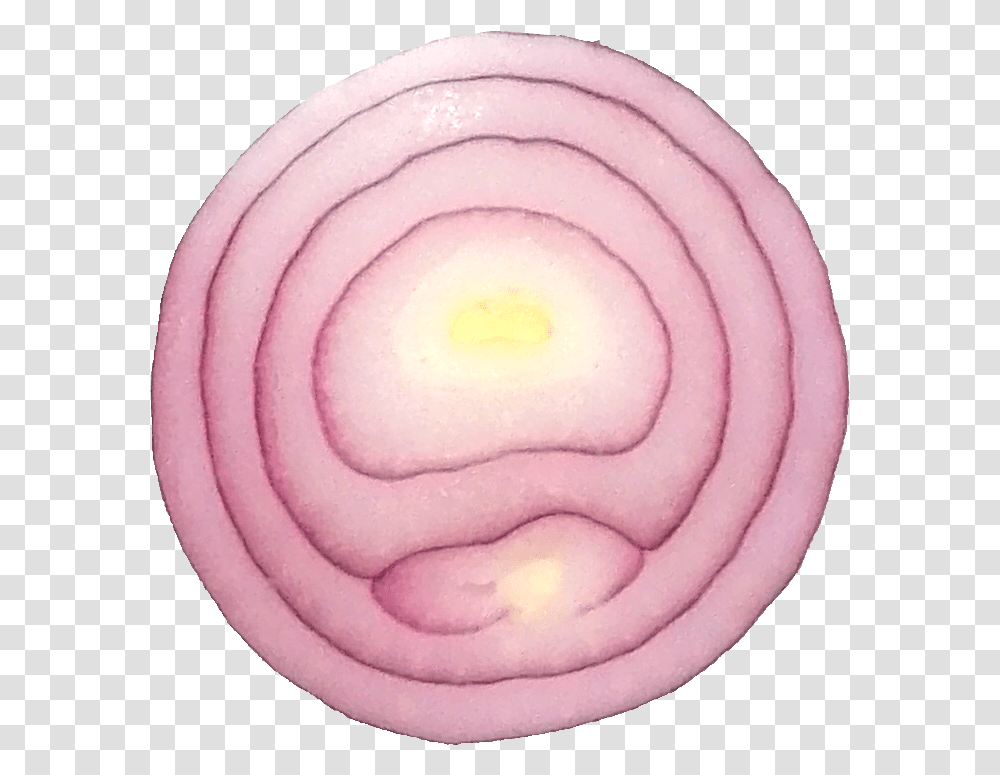 Sliced Onion Red Onion, Plant, Rose, Flower, Blossom Transparent Png