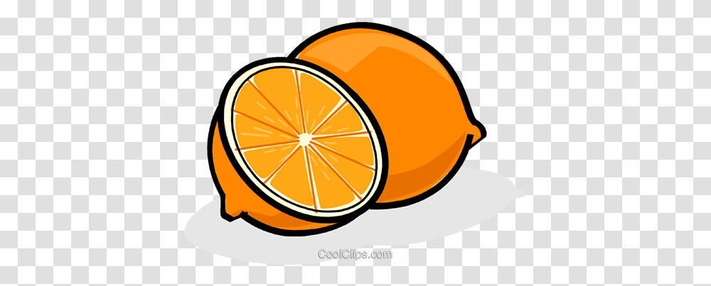 Sliced Oranges Royalty Free Vector Clip Art Illustration Bergamot Orange, Citrus Fruit, Plant, Food, Lemon Transparent Png