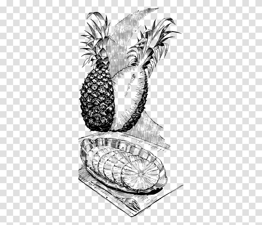 Sliced Pineapple, Gray, World Of Warcraft Transparent Png