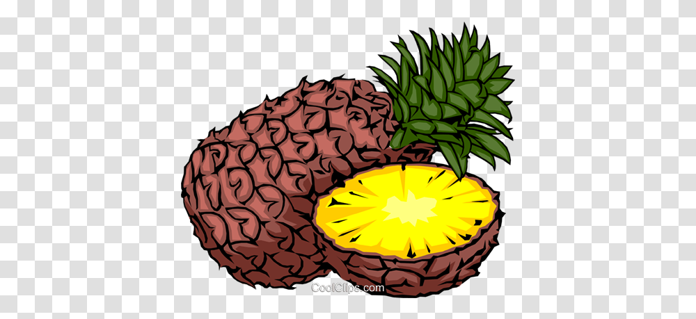 Sliced Pineapple Royalty Free Vector Clip Art Illustration Se Cultiva En El Clima Templado, Plant, Fruit, Food, Raspberry Transparent Png