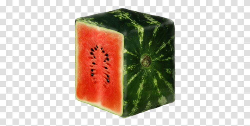 Sliced Square Watermelon Stickpng Do Watermelons Look Like In Japan, Plant, Fruit, Food Transparent Png