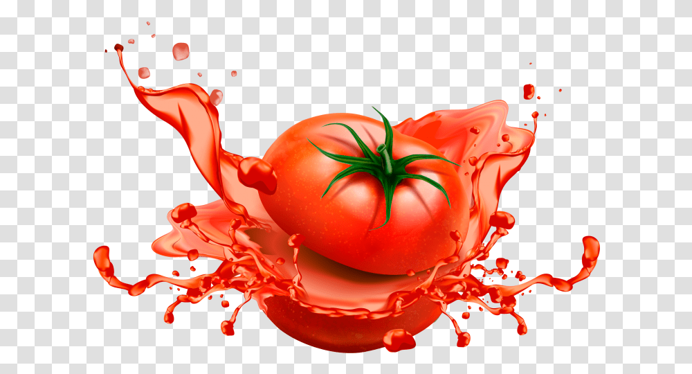 Sliced Tomato Design Tomato For Design, Plant, Vegetable, Food, Droplet Transparent Png