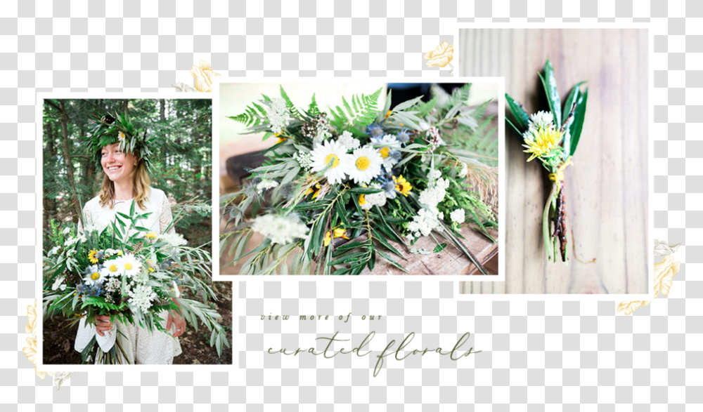Slide Collage3 Bouquet, Plant, Flower, Person, Daisy Transparent Png