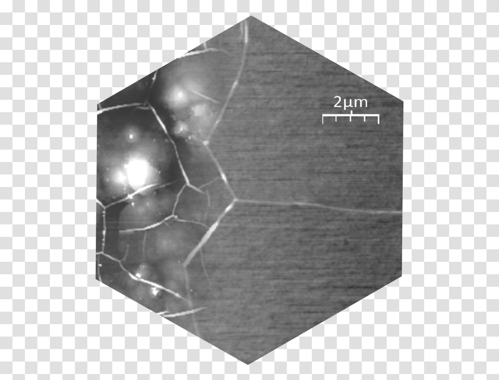 Slider Image Net, Spider Web, Rug Transparent Png