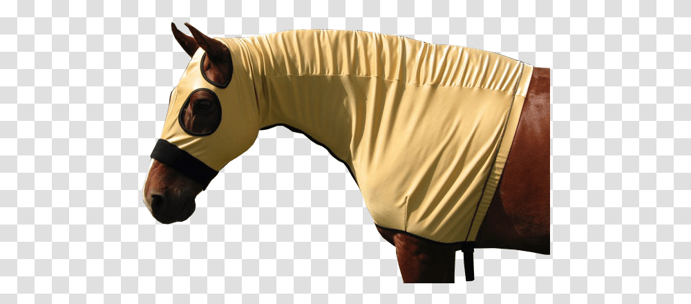 Slinky Hood Stallion, Clothing, Apparel, Shirt, Mammal Transparent Png