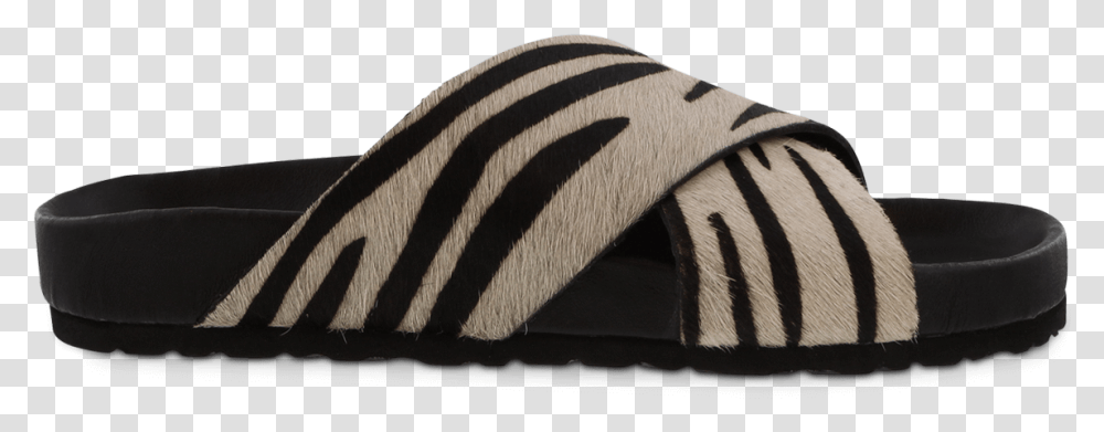 Slipper, Mammal, Animal, Wildlife Transparent Png