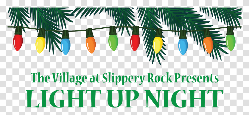 Slippery Rock Light Up Night, Tree, Plant, Conifer, Fir Transparent Png
