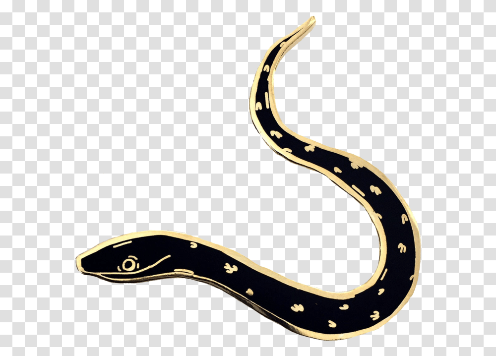 Slithery Pin Dot, Eel, Fish, Animal, Snake Transparent Png