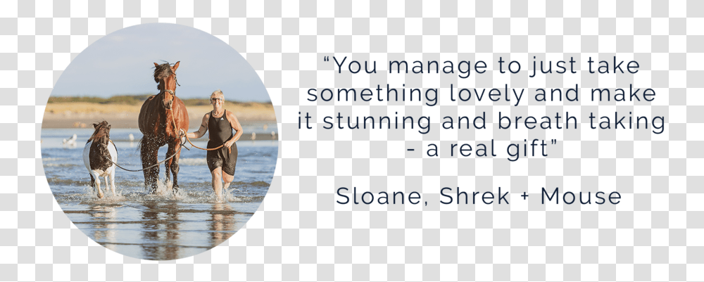 Sloane Shrek - Avedon Animal Portraits Stallion, Person, Bird, Clothing, Horse Transparent Png