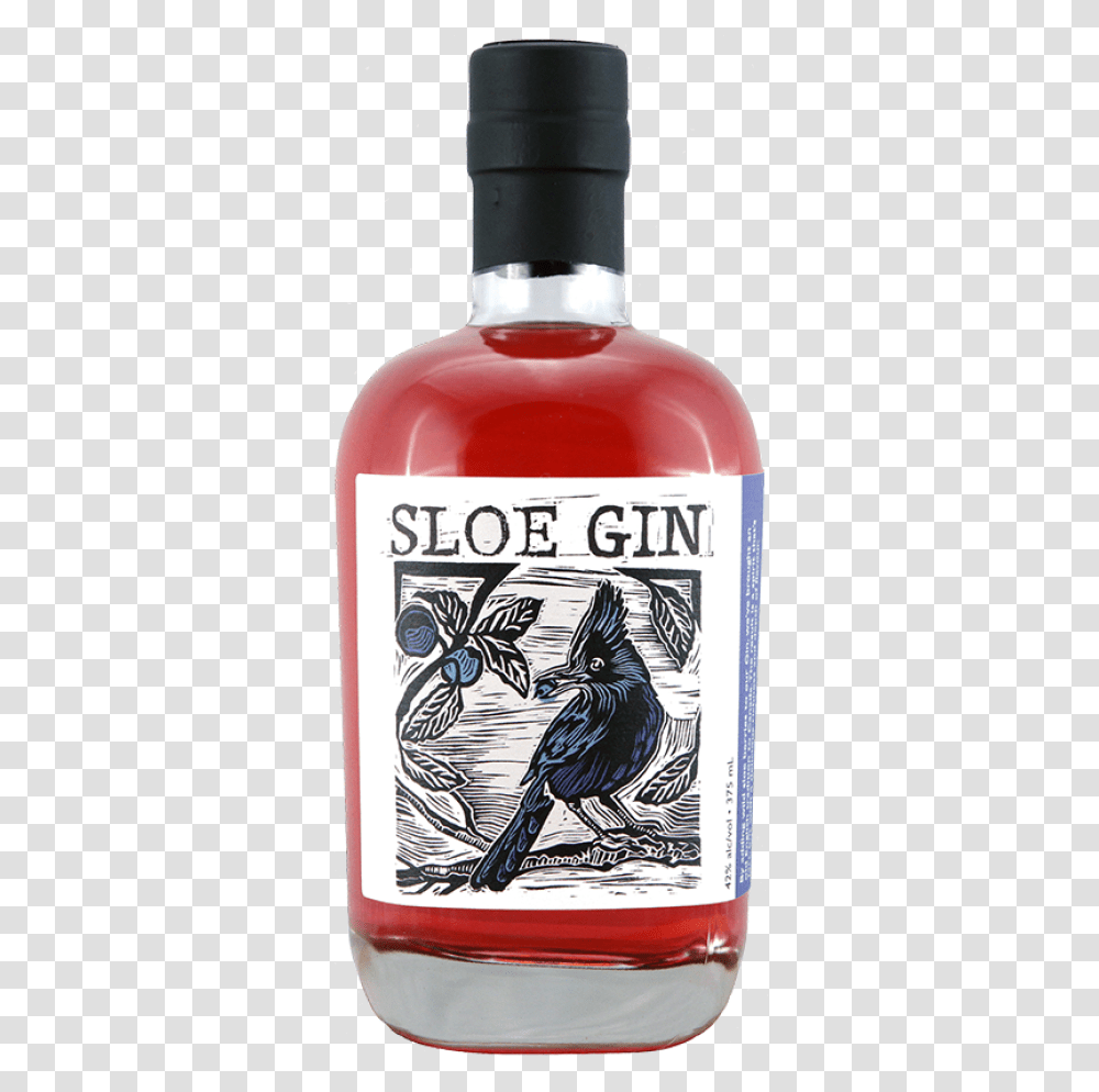 Sloe Gin Victoria, Liquor, Alcohol, Beverage, Drink Transparent Png