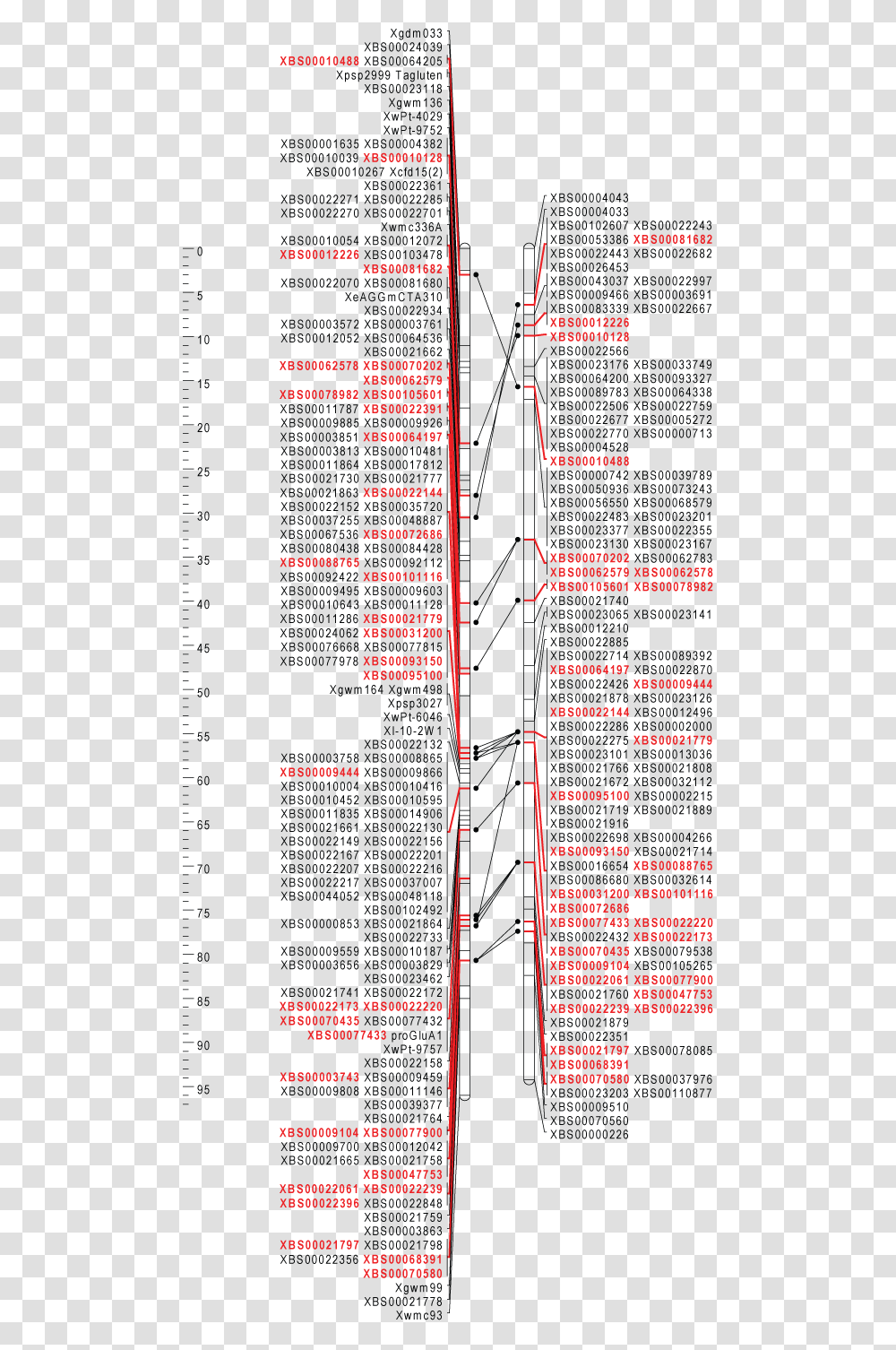 Slope, Plot, Plan, Diagram Transparent Png