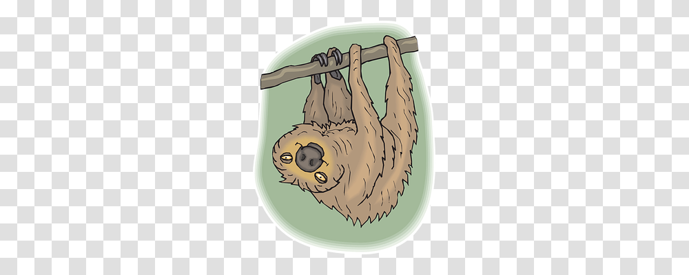 Sloth Emotion, Mammal, Animal, Wildlife Transparent Png