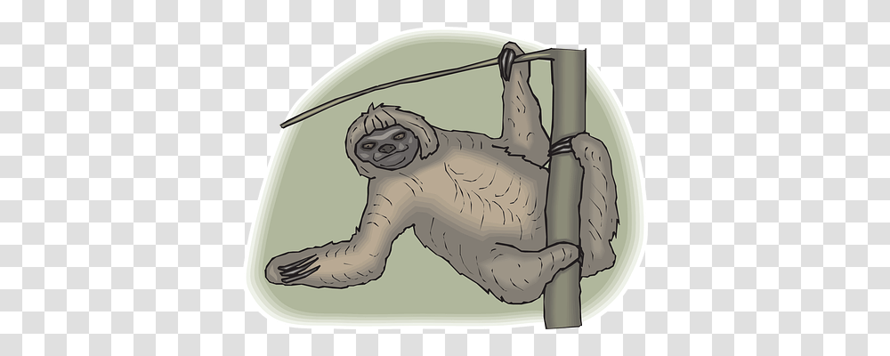 Sloth Animals, Mammal, Wildlife, Three-Toed Sloth Transparent Png