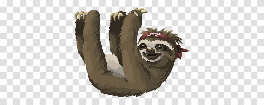 Sloth Animals, Wildlife, Mammal, Three-Toed Sloth Transparent Png