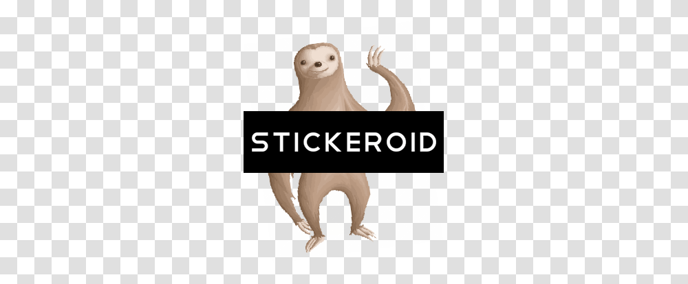 Sloth, Animal, Bird, Mammal, Person Transparent Png