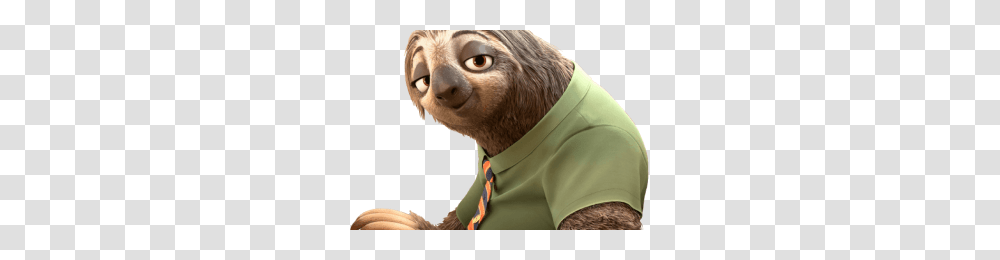 Sloth, Animals, Person, Human, Mammal Transparent Png