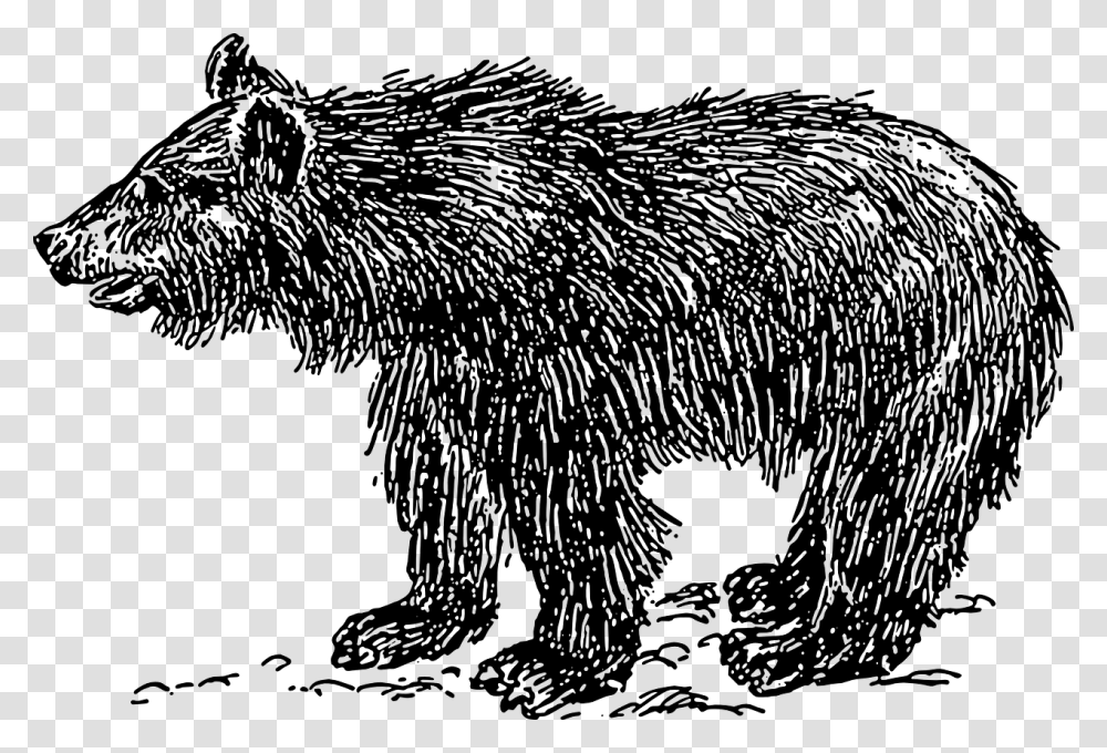 Sloth Bear Clipart Black And White, Gray, World Of Warcraft Transparent Png