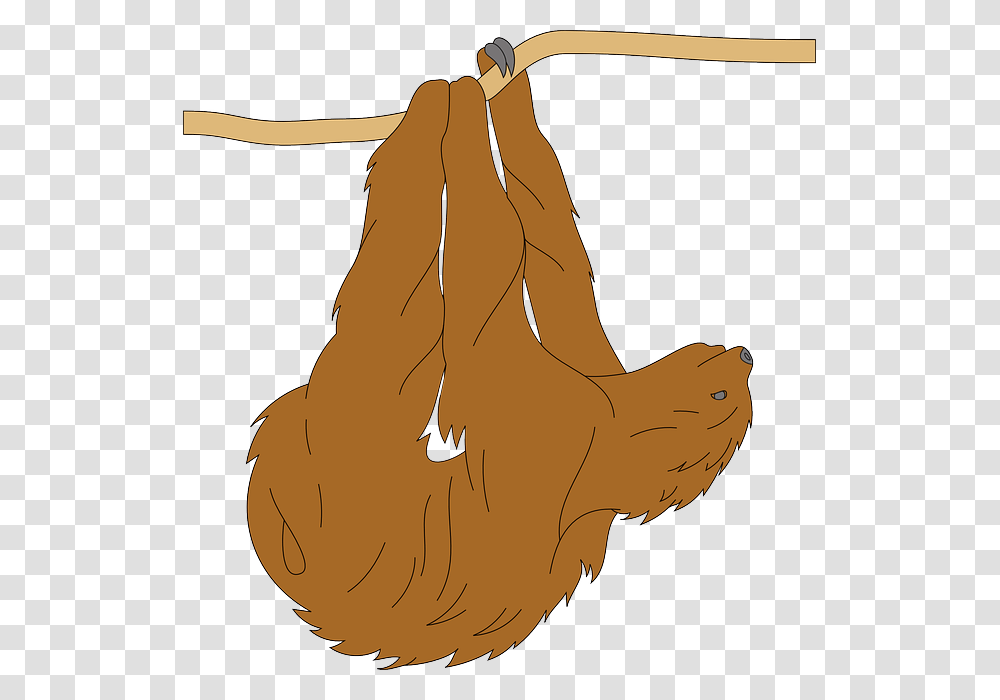 Sloth Clipart Animal Fur Hanging, Wood, Plant, Food Transparent Png