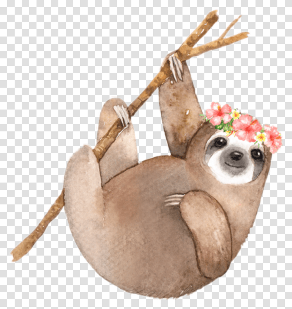 Sloth Clipart Watercolor Sloth Invitations, Person, Mammal, Animal, Wildlife Transparent Png