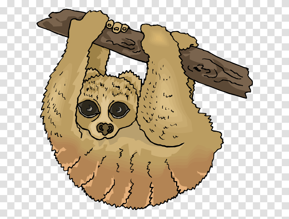 Sloth Clipart, Wildlife, Animal, Mammal, Three-Toed Sloth Transparent Png