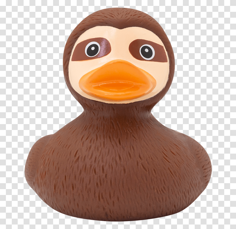 Sloth Duck Sloth And A Duck Combined, Head, Partridge, Bird, Animal Transparent Png