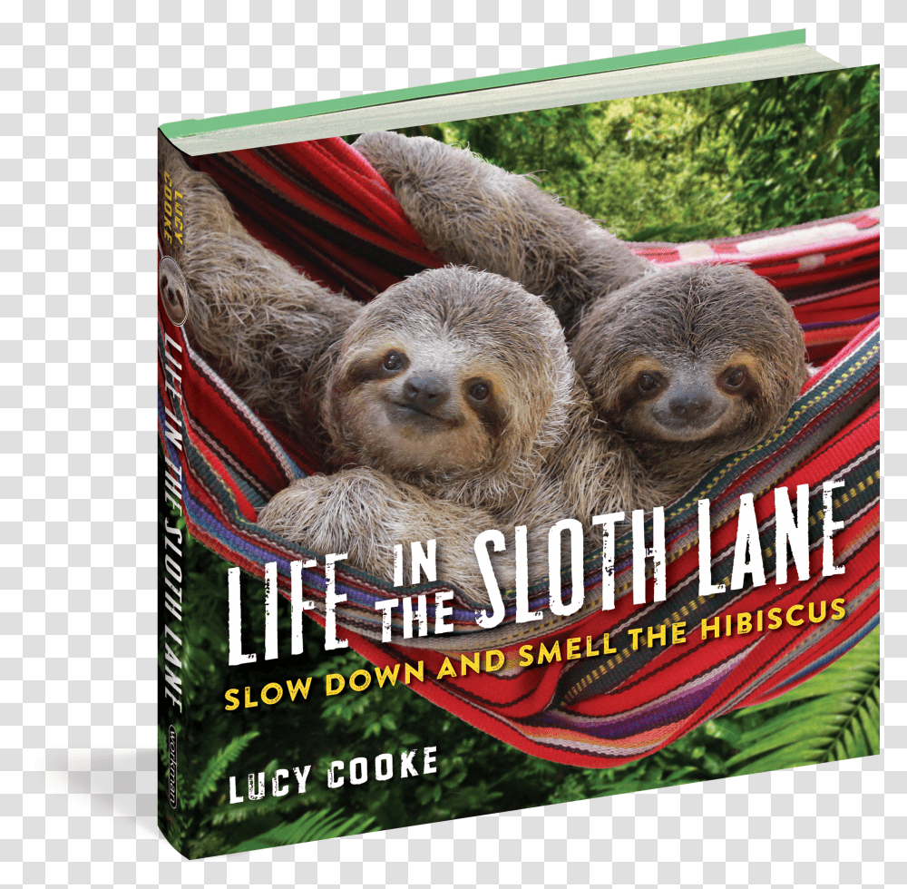 Sloth Life In The Sloth Lane Transparent Png