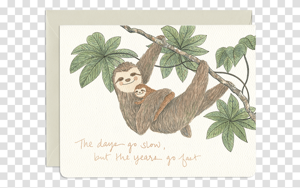 Sloth Mom Card Mother's Day Card, Bird, Animal, Three-Toed Sloth, Wildlife Transparent Png