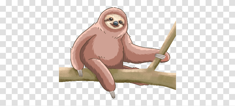 Sloth Pygmy Three Toed Gif Sloth Pygmythreetoedsloth Discover & Share Gifs Pygmy Sloth, Animal, Mammal, Wildlife, Bird Transparent Png