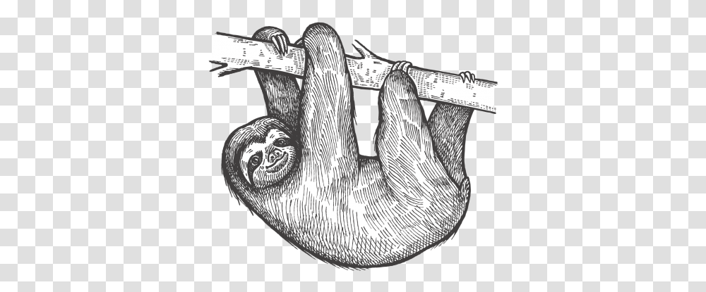 Sloth Sloth, Hook, Skin, Rug, Anchor Transparent Png