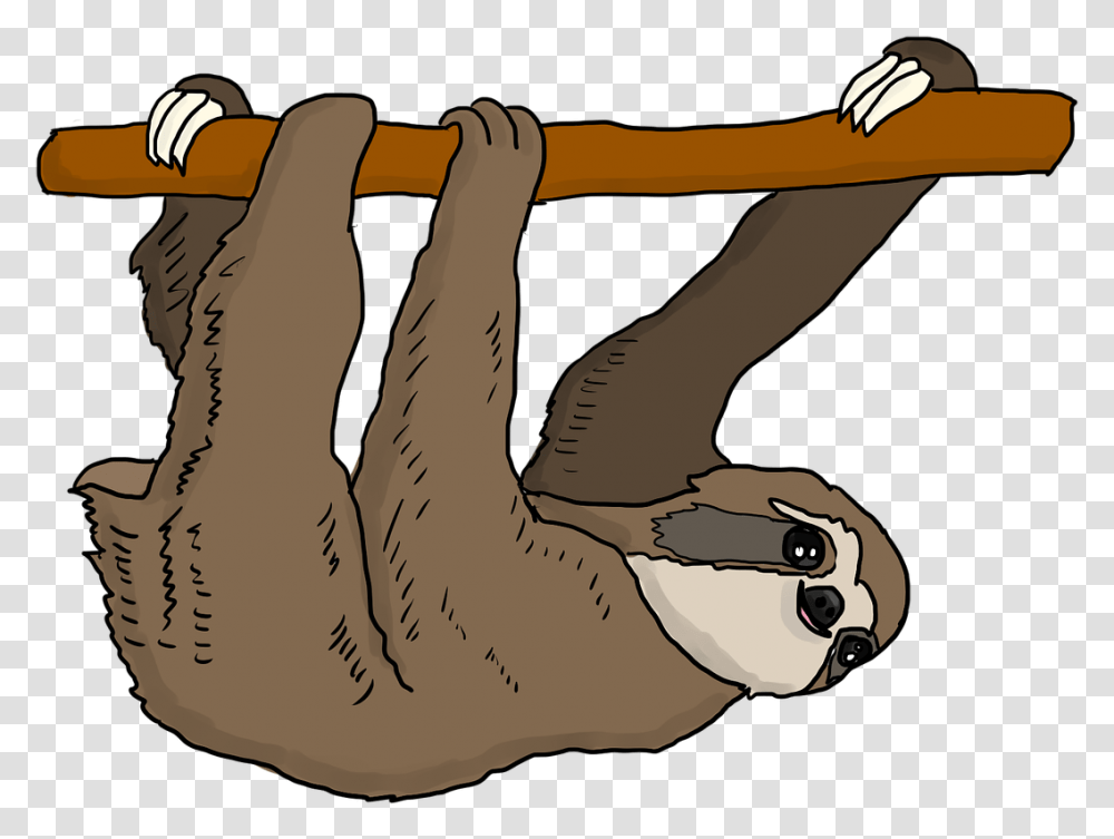 Sloth Tree Hanging Doesnt Matter How Slowly You Go As Long, Mammal, Animal, Wildlife, Slingshot Transparent Png