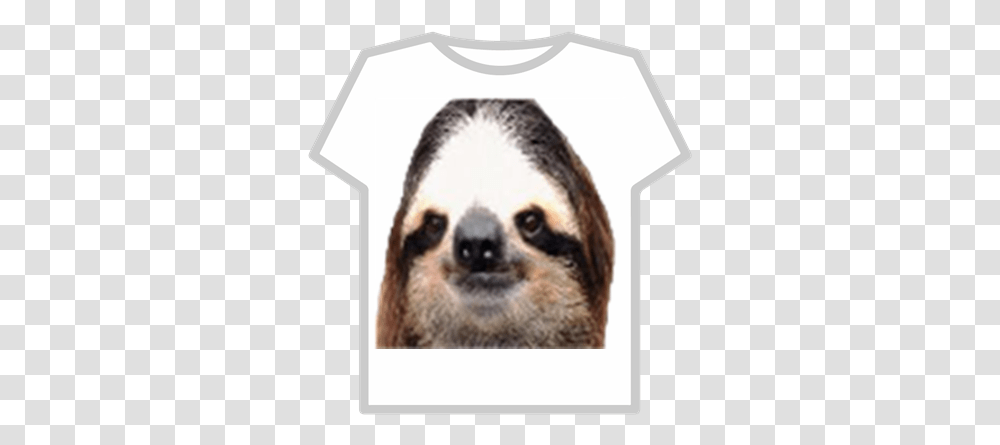 Sloth Tshirt Roblox Camisa De Musculos Roblox, Wildlife, Animal, Mammal, Three-Toed Sloth Transparent Png