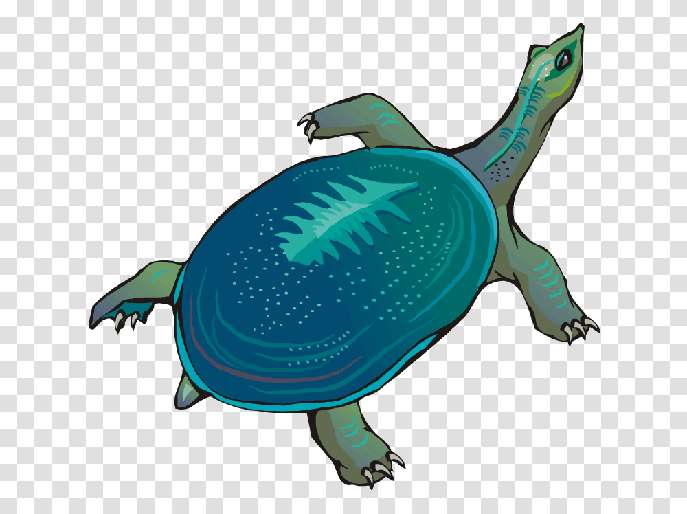 Slow Clipart Cartoon Turtle, Reptile, Animal, Sea Life, Tortoise Transparent Png