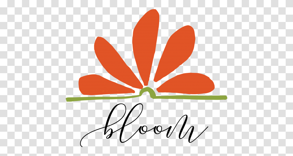 Slow Flowers Podcast Archives Delicass, Plant, Leaf, Nature, Outdoors Transparent Png