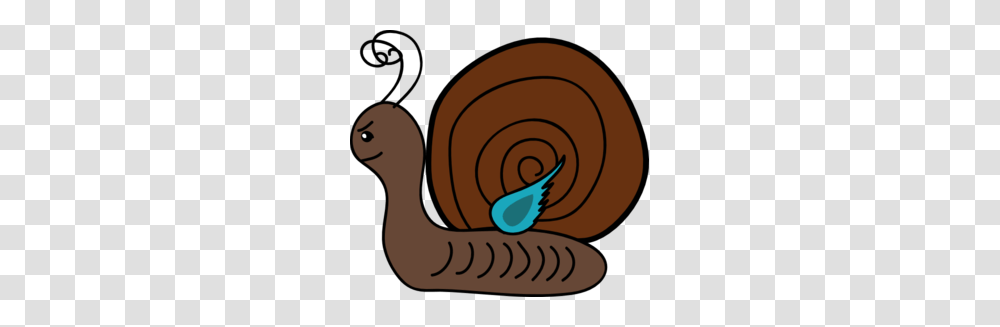 Slug Clipart, Snail, Invertebrate, Animal Transparent Png