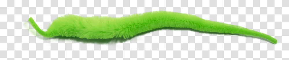 Slug, Green, Plant, Animal, Food Transparent Png
